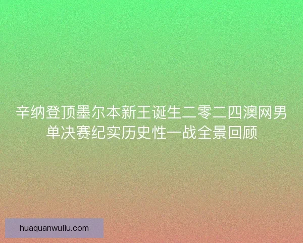辛纳登顶墨尔本新王诞生二零二四澳网男单决赛纪实历史性一战全景回顾