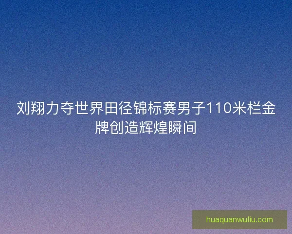 刘翔力夺世界田径锦标赛男子110米栏金牌创造辉煌瞬间